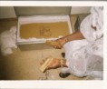 /album/photogallery/a3-jpg/